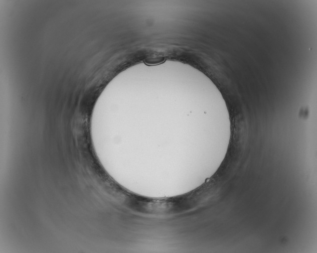 X0000111230225200907231512