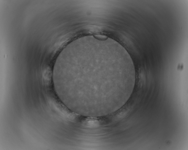 X0000111230228200907231512