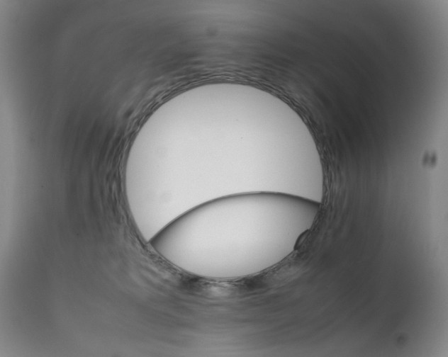 X0000111230229200907231512