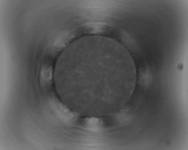 X0000111230230200907231512