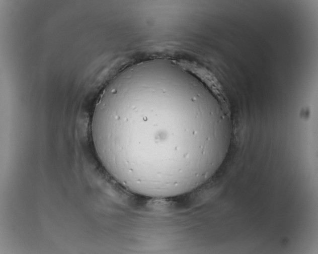 X0000111230231200907231512