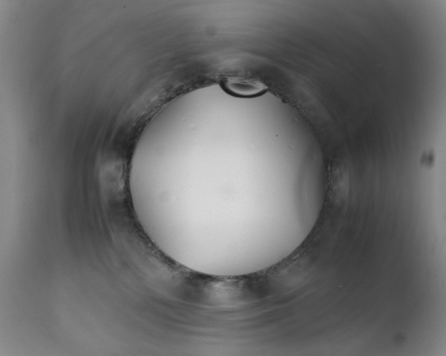 X0000111230232200907231512