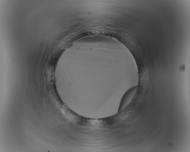 X0000111230233200907231512