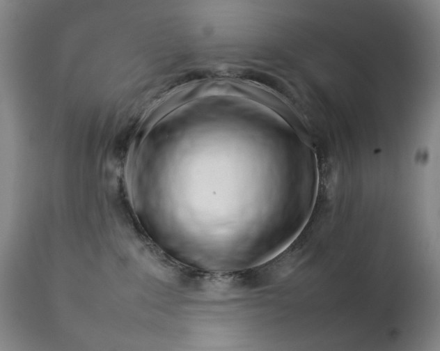 X0000111230235200907231512