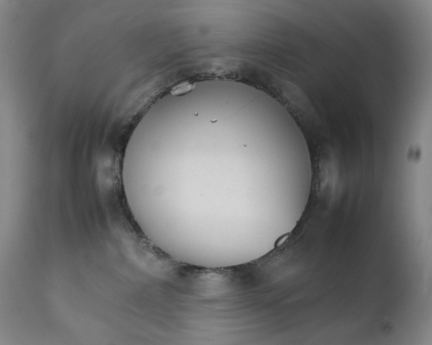 X0000111230236200907231512