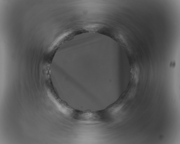 X0000111230237200907231512