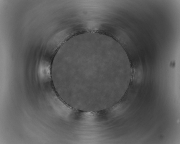 X0000111230238200907231512