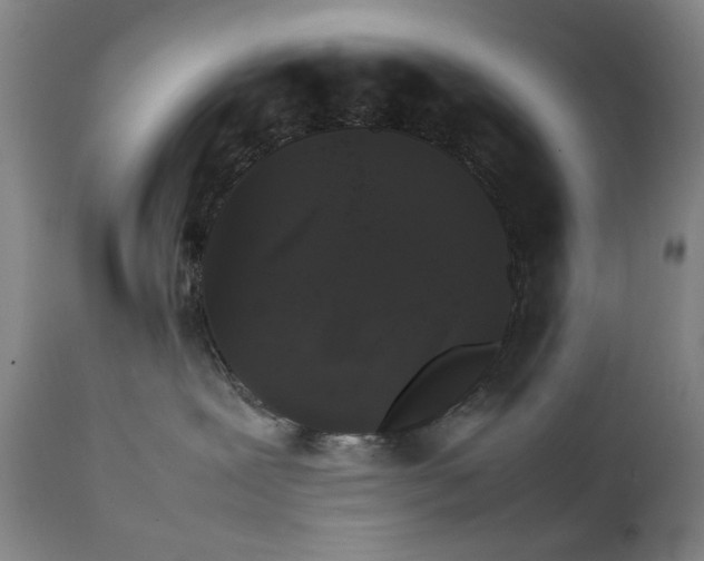 X0000111230239200907231512