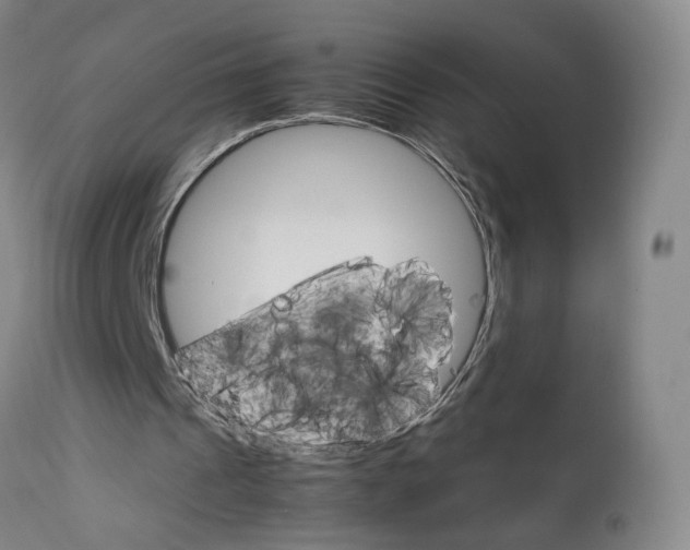 X0000111230241200907231511