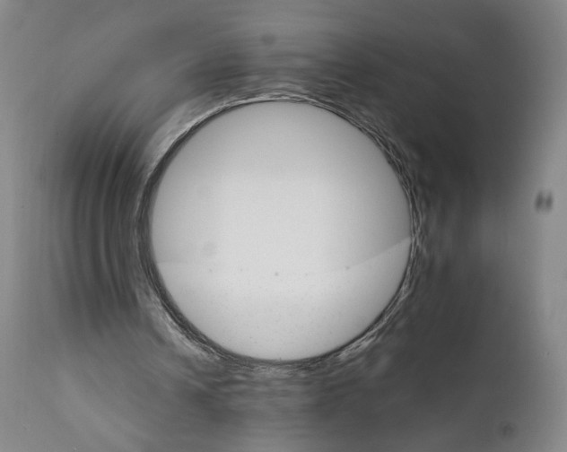 X0000111230242200907231511