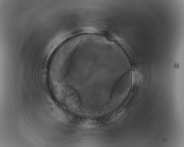 X0000111230243200907231511