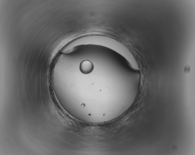 X0000111230244200907231511