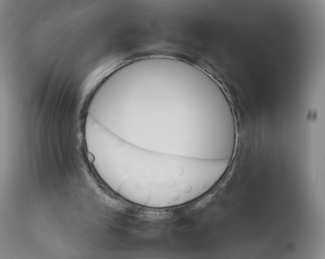 X0000111230245200907231511