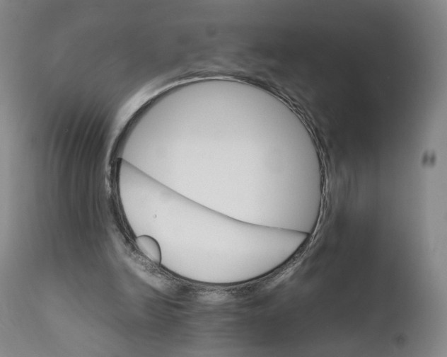 X0000111230246200907231511