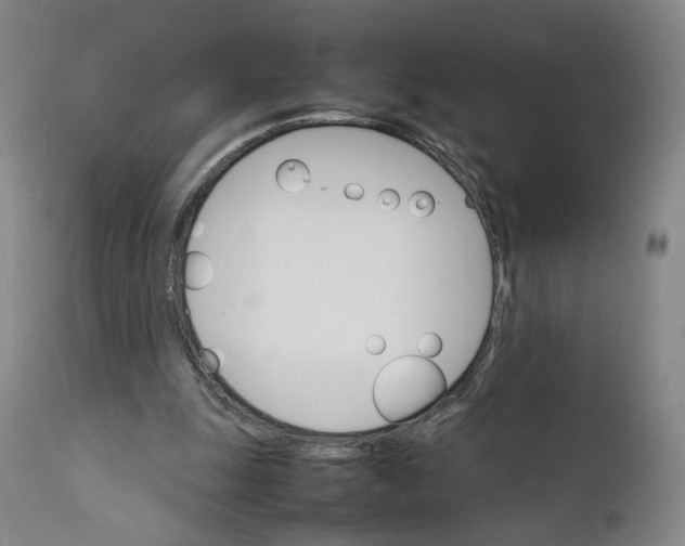 X0000111230247200907231511