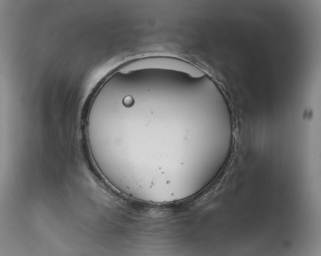 X0000111230248200907231511