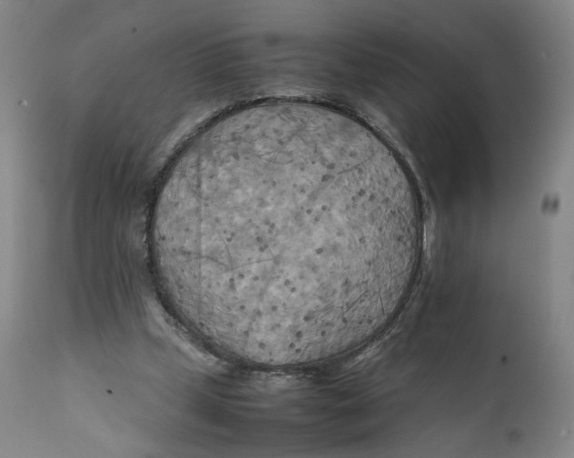 X0000111230249200907231511