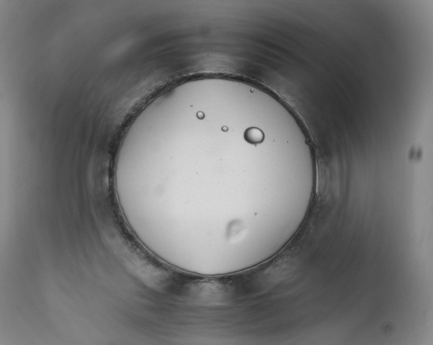 X0000111230253200907231511