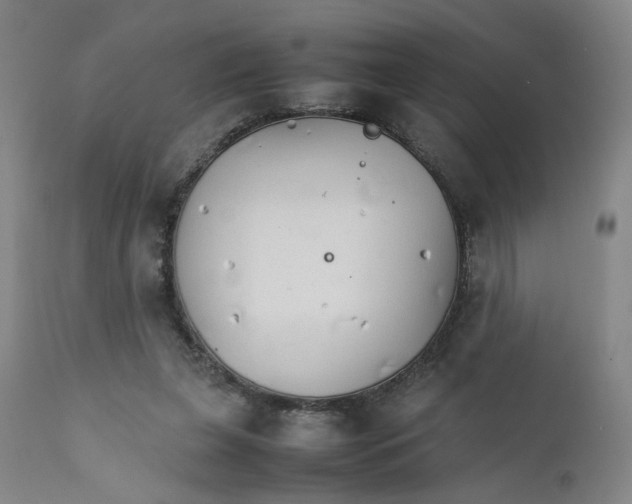 X0000111230255200907231511