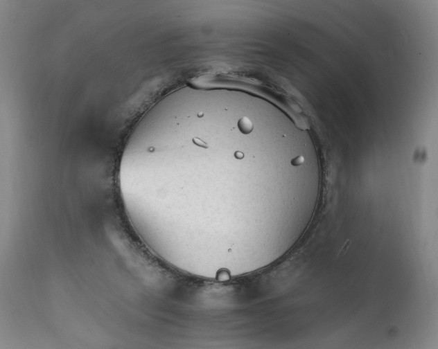 X0000111230257200907231511