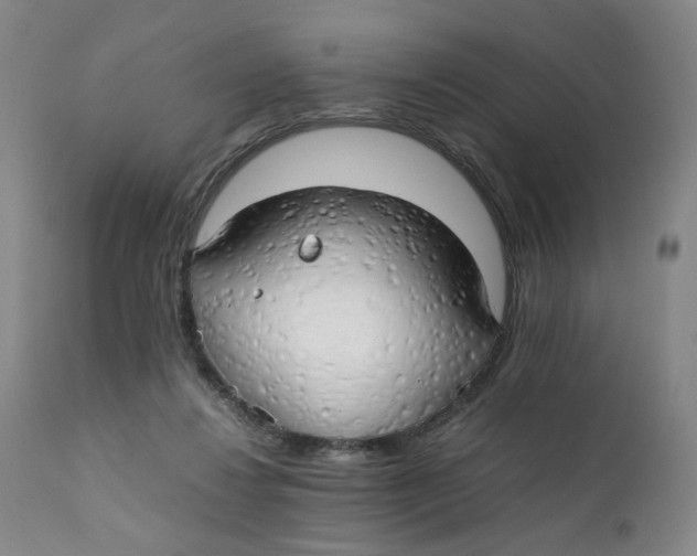 X0000111230260200907231511