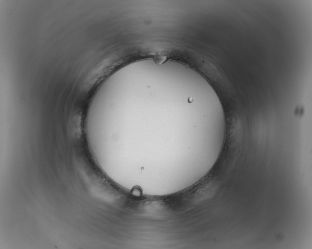 X0000111230262200907231511