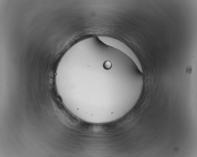 X0000111230264200907231511