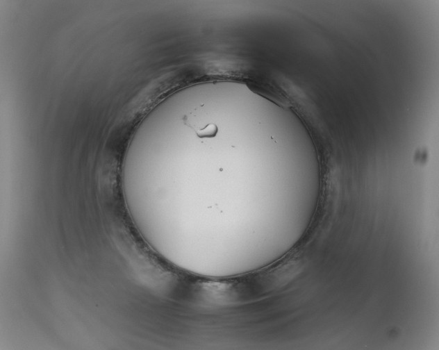 X0000111230265200907231511