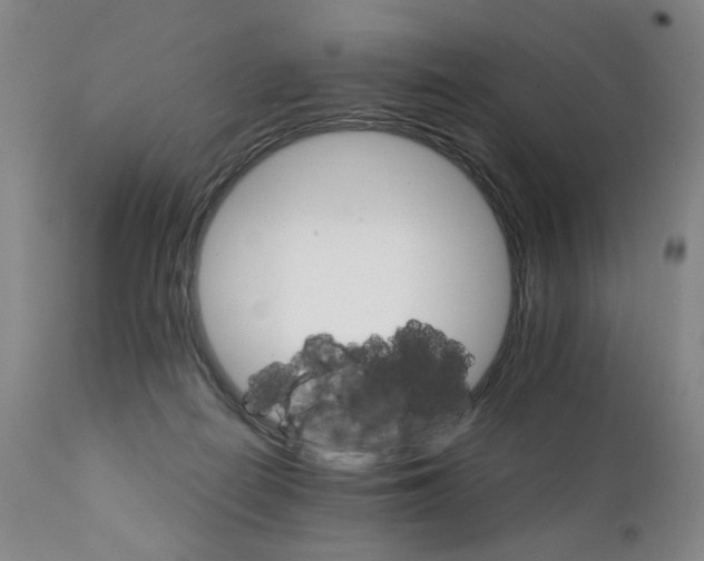 X0000111230266200907231511