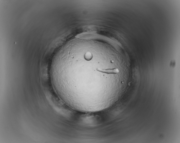 X0000111230267200907231511