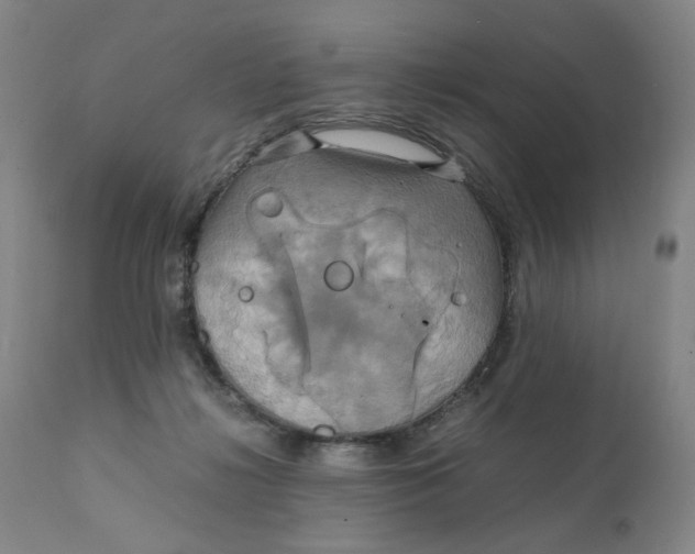 X0000111230268200907231511