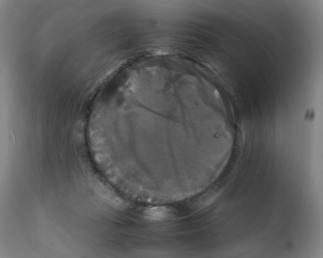 X0000111230269200907231511