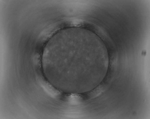 X0000111230270200907231511