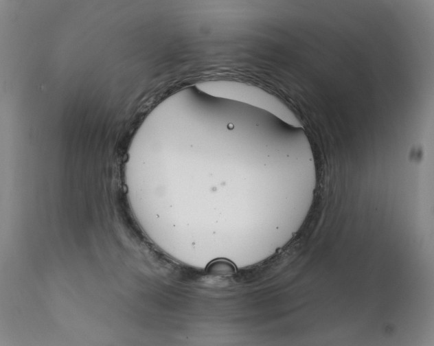 X0000111230272200907231511