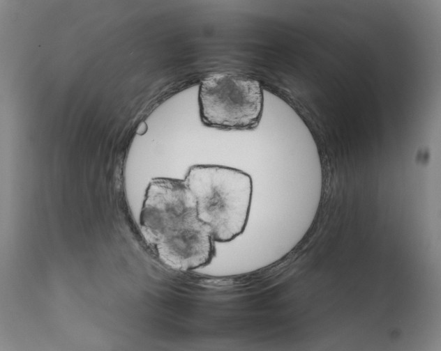 X0000111230273200907231511