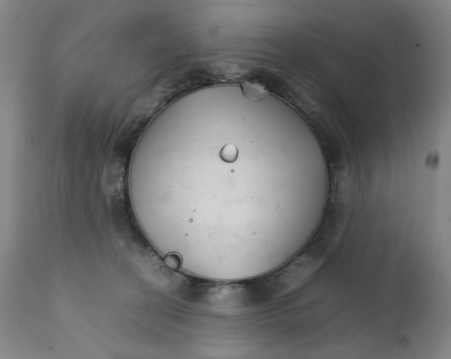 X0000111230274200907231511