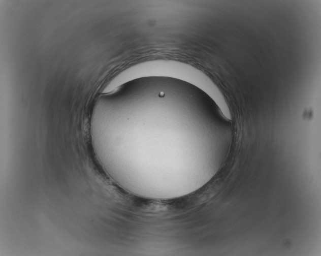 X0000111230276200907231511