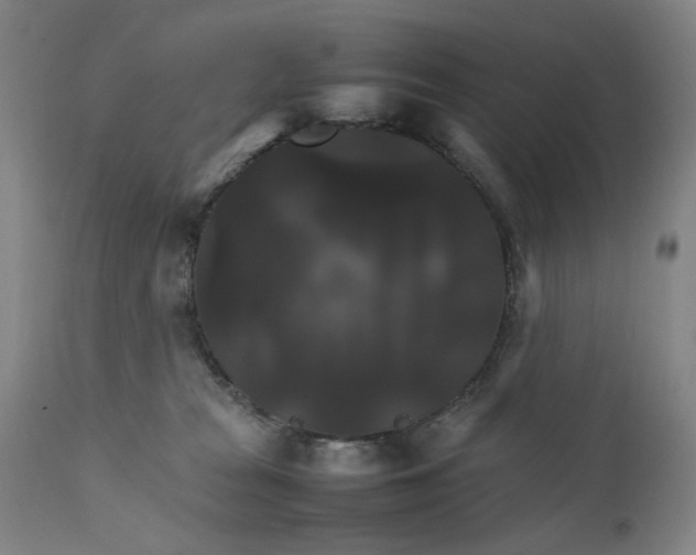 X0000111230277200907231511