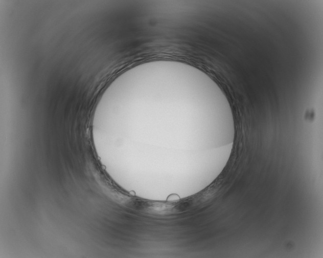 X0000111230278200907231511