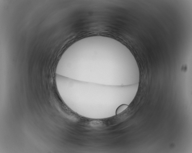 X0000111230279200907231511