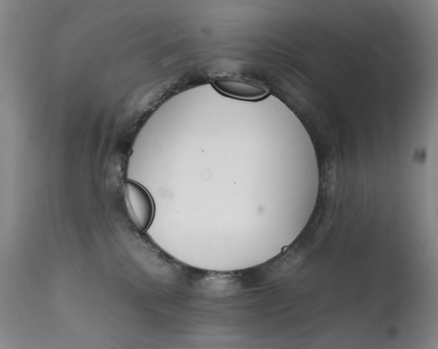 X0000111230280200907231511