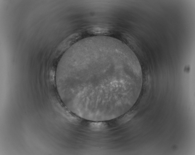 X0000111230281200907231511