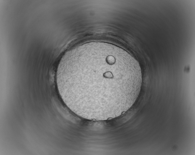 X0000111230282200907231511