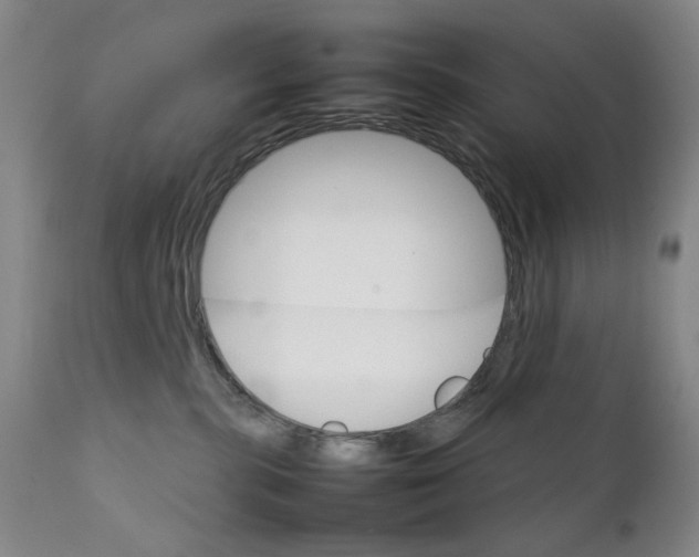 X0000111230283200907231511