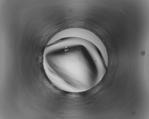 X0000111230284200907231512