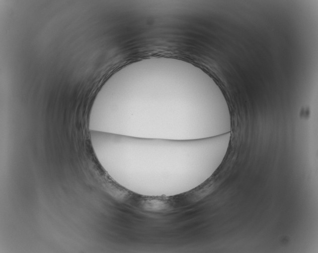 X0000111230285200907231512