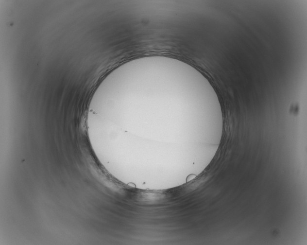 X0000111230286200907231512