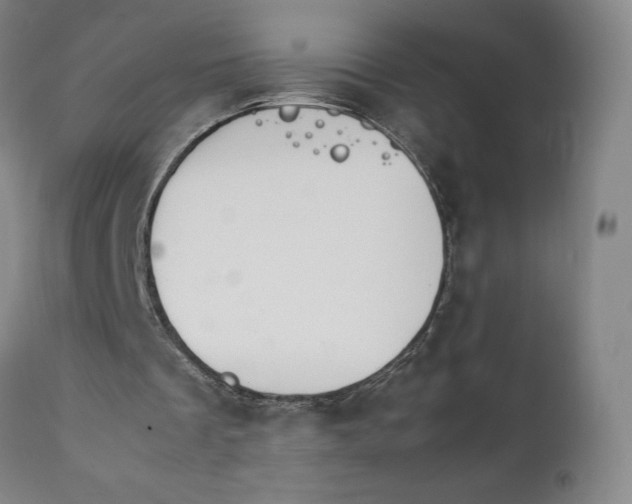 X0000111230289200907231511