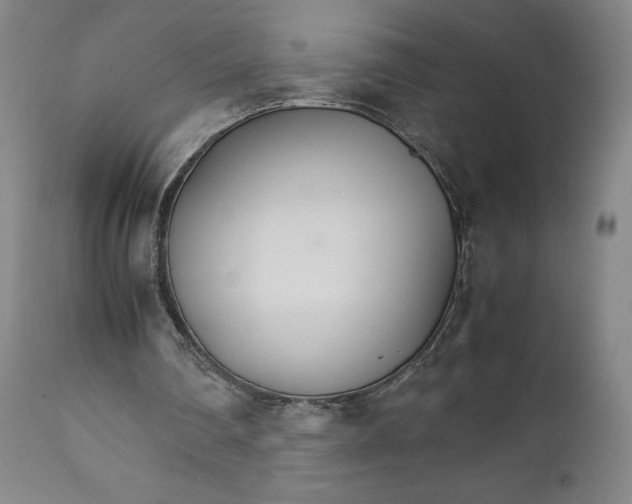 X0000111230290200907231511