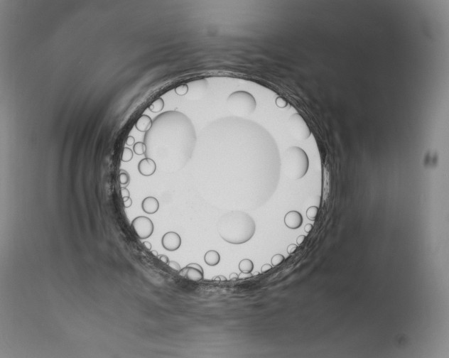 X0000111230291200907231511